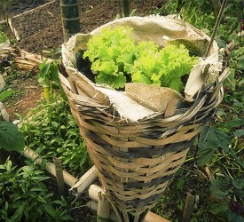 A crop is harvested and looks great!